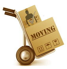 Movers-in-Chicago-Dolly