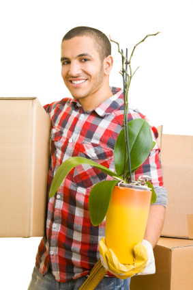 Guy moving plants