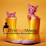 Long Distance Moving With Pets – Get Tips